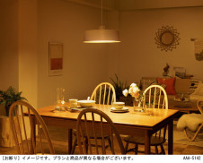 Panasonic ڥȥ饤 LGBZ6192 ̿2