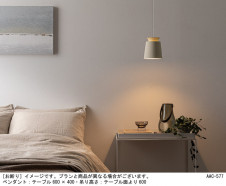 Panasonic ڥȥ饤 XLGB1066CE1 ̿2