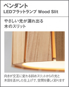 Panasonic ڥȥ饤 XLGB1741CE1 ̿4