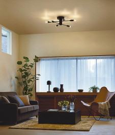 �ܹ��� | DAIKO ����ŵ� �����ǥꥢ DCH-41962Y