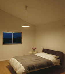 �ܹ��� | DAIKO ����ŵ� Ĵ���ڥ����� DPN-41974