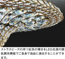 ���ͼ̿� | DAIKO ����ŵ� Ĵ�������ǥꥢ DCH-41311