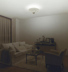 �ܹ��� | DAIKO ����ŵ� Ĵ�������ǥꥢ DCH-41311