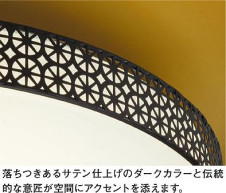 ͼ̿ | DAIKO ŵ Ĵ DCL-40919