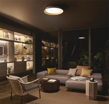 �ܹ��� | DAIKO ����ŵ� Ĵ��������� DCL-41628