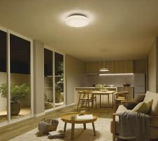 �ܹ��� | DAIKO ����ŵ� Ĵ��������� DCL-41704