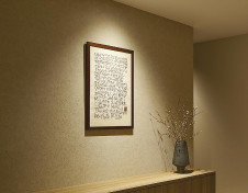 �ܹ��� | DAIKO ����ŵ� ��˥С����������饤�� DDL-4760YBG