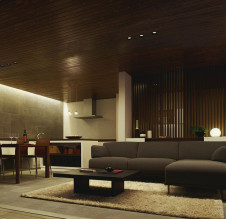 �ܹ��� | DAIKO ����ŵ� ������饤��(��������) DDL-4761YBG