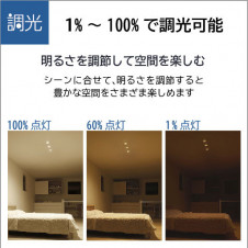 ����� | DAIKO ����ŵ� ������饤��(��������) DDL-5021WWG