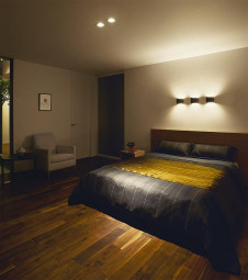 �ܹ��� | DAIKO ����ŵ� ��˥С����������饤�� DDL-5434YWG