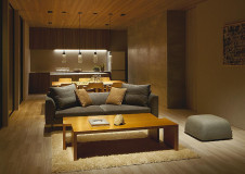 �ܹ��� | DAIKO ����ŵ� ��˥С����������饤�� DDL-5445ABG