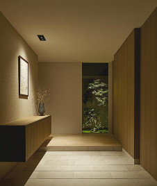 �ܹ��� | DAIKO ����ŵ� ��˥С����������饤�� DDL-5445YBG