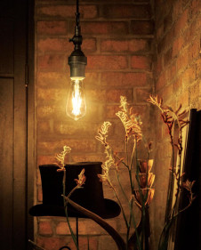 ODELIC �����ǥ�å� �ڥ����ȥ饤�� OP252614LC �̿�3