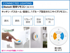 ODELIC ǥå ⥳ RC917 ̿1