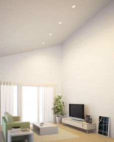 ODELIC ǥå 饤 OD261919R ̿1