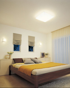 ODELIC �����ǥ�å� ������󥰥饤�� OL251604R �̿�2