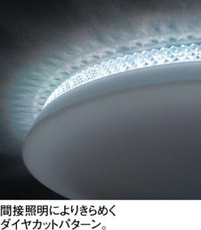 ODELIC �����ǥ�å� ������󥰥饤�� OL291002BCR �̿�2