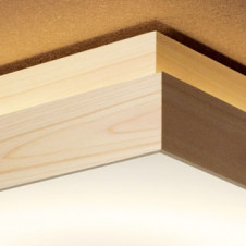 ODELIC �����ǥ�å� ������󥰥饤�� OL291170BCR �̿�2