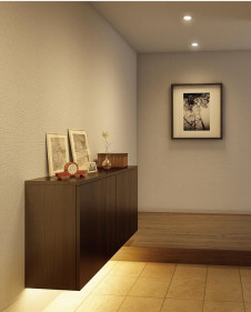 ODELIC ǥå Ѵܾ OL291186R ̿3