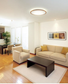 ODELIC ǥå 󥰥饤 OL291322BCR ̿2