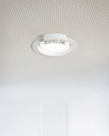 ODELIC ǥå 饤 OD361411LR ̿1