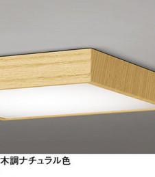 ODELIC ǥå 󥰥饤 OL251743R ̿1