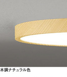 ODELIC ǥå 󥰥饤 OL251770R ̿1