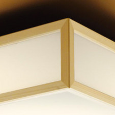 ODELIC ǥå 󥰥饤 OL291097LR ̿1