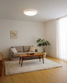 ODELIC �����ǥ�å� ������󥰥饤�� OL291346NR �̿�1