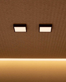 ODELIC ǥå 󥰥饤 OL291396BR ̿2