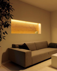 ODELIC ǥå Ѵܾ OL291402R ̿4