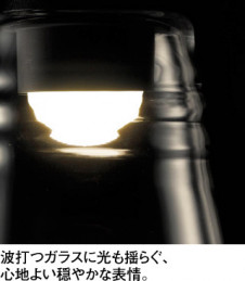 ODELIC �����ǥ�å� �ڥ����ȥ饤�� OP252690R �̿�1