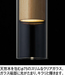 ODELIC �����ǥ�å� �ڥ����ȥ饤�� OP252900LR �̿�1