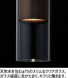 ODELIC �����ǥ�å� �ڥ����ȥ饤�� OP252902LR �̿�2