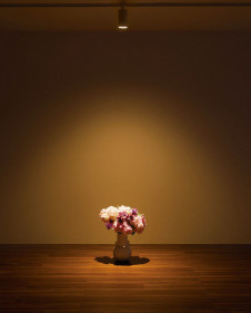 ODELIC ǥå ݥåȥ饤 OS256698BR ̿1