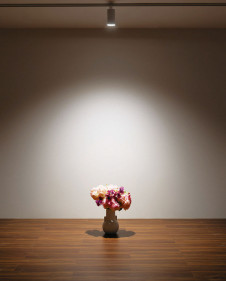 ODELIC ǥå ݥåȥ饤 OS256698BR ̿2