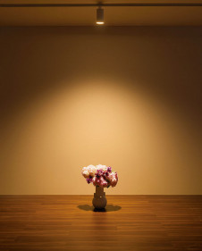 ODELIC ǥå ݥåȥ饤 OS256702BR ̿4