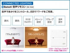 ODELIC ǥå ⥳ RC924 ̿3