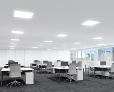 ODELIC ǥå ١饤 XL501019BMR ̿2