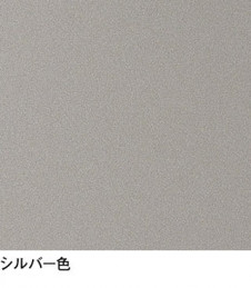 ODELIC ǥå ƥꥢ饤 OG264043R ̿2