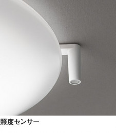 ODELIC ǥå 󥰥饤 OL291497CR ̿1