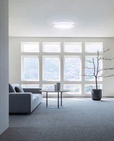 ODELIC ǥå 󥰥饤 OL291579R ̿1