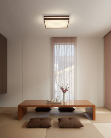 ODELIC �����ǥ�å� ������󥰥饤�� OL291595BR �̿�1