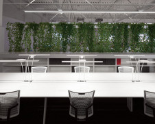 ODELIC ǥå  TT888008R ̿1