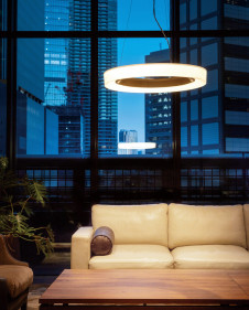 ODELIC ǥå ǥꥢ OC257209BR ̿3