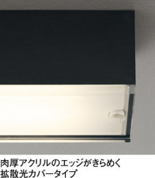 ODELIC ǥå ƥꥢ饤 OG264099LR ̿1