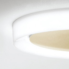 ODELIC ǥå ǥꥢ OL291608BR ̿2