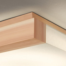 ODELIC �����ǥ�å� ������󥰥饤�� OL291639R �̿�2