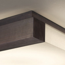 ODELIC �����ǥ�å� ������󥰥饤�� OL291644R �̿�1