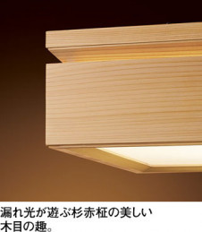 ODELIC ǥå ڥȥ饤 OP252833BR ̿2